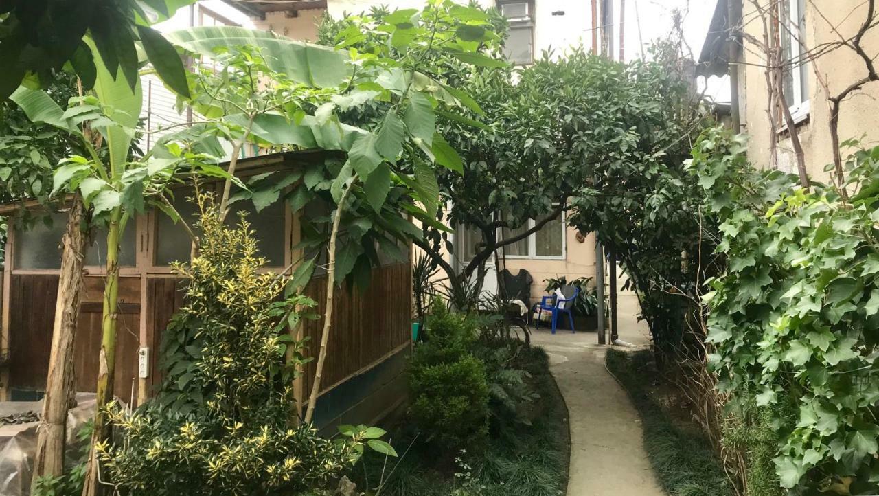 Частный Дом У Моря Gagra Exterior photo